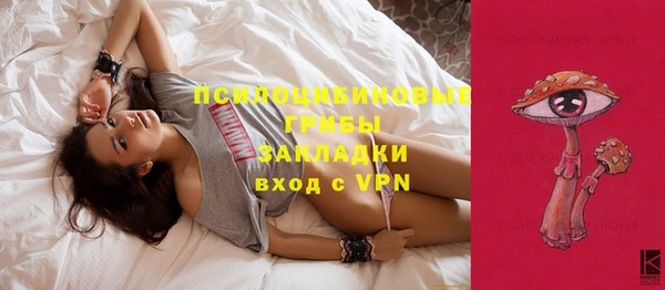 кристаллы Богданович