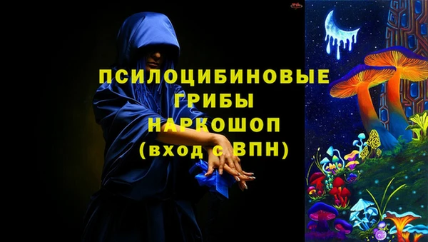 jwh Богородск