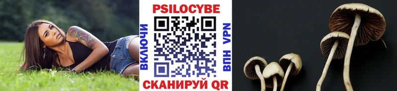 Купить Высоцк Галлюциногенные грибы прущие грибы